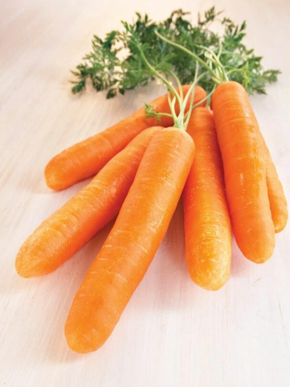 DT Brown Seeds Manchester Table Carrot - Vegetable Seeds