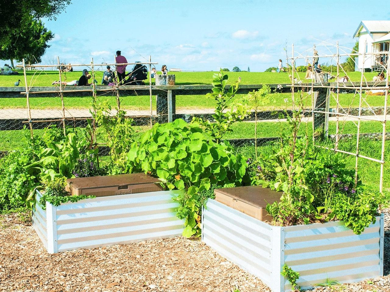 Subpod Grow Garden Bed 