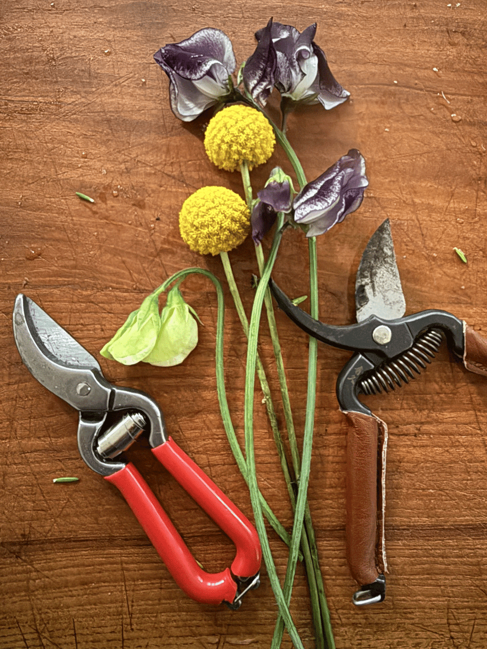 Niwaki Mini Secateurs 