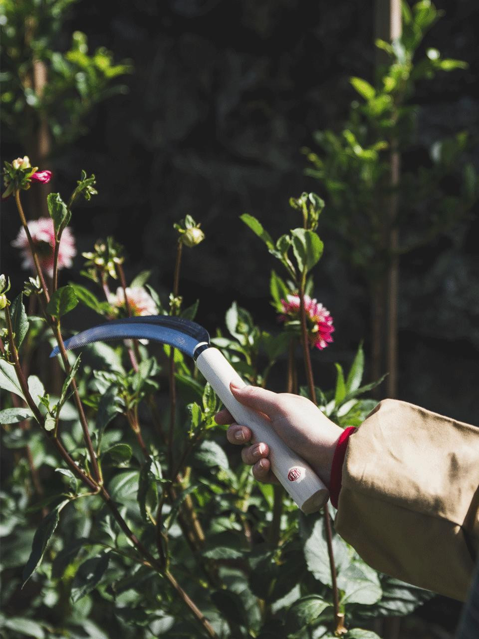 Niwaki Herbaceous Sickle