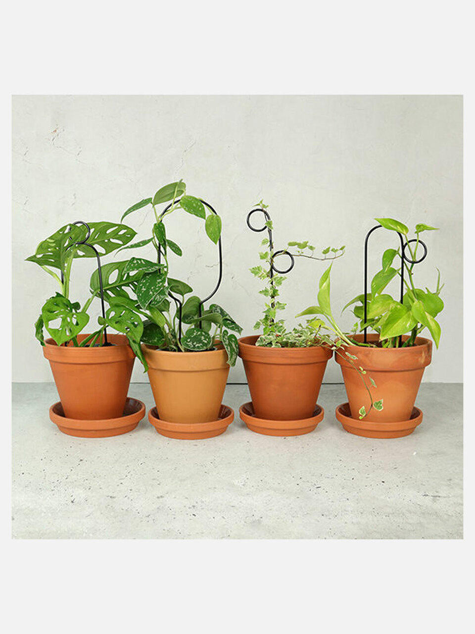 Botanopia Mini Plant Stake - Perch