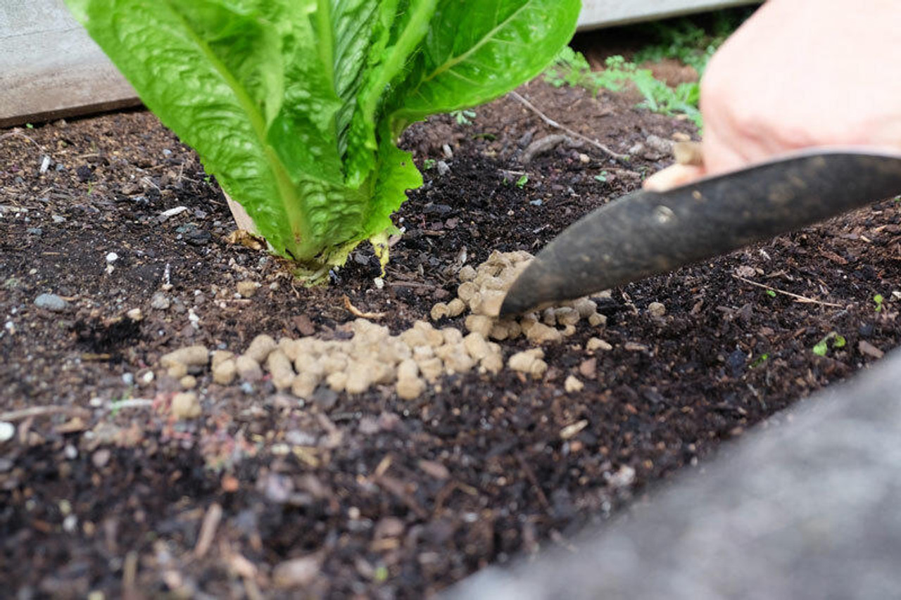 NZ Wool Mulch