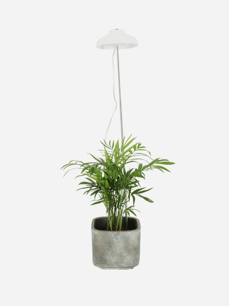 ESSCHERT DESIGN Grow Lamp - White 