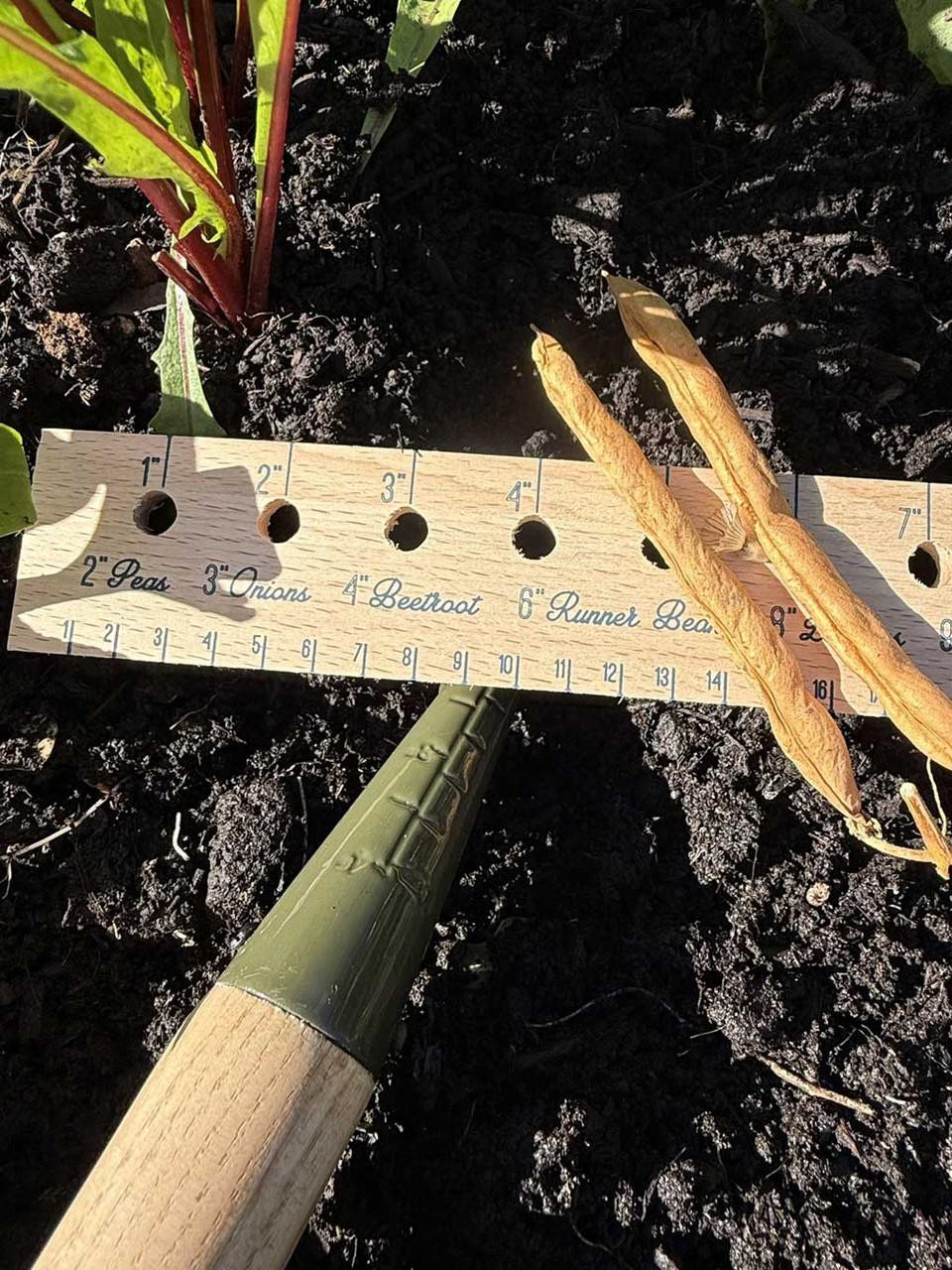 Burgon and Ball Dibber RHS - Boron Green Burgon and Ball Dibber RHS - Boron Green