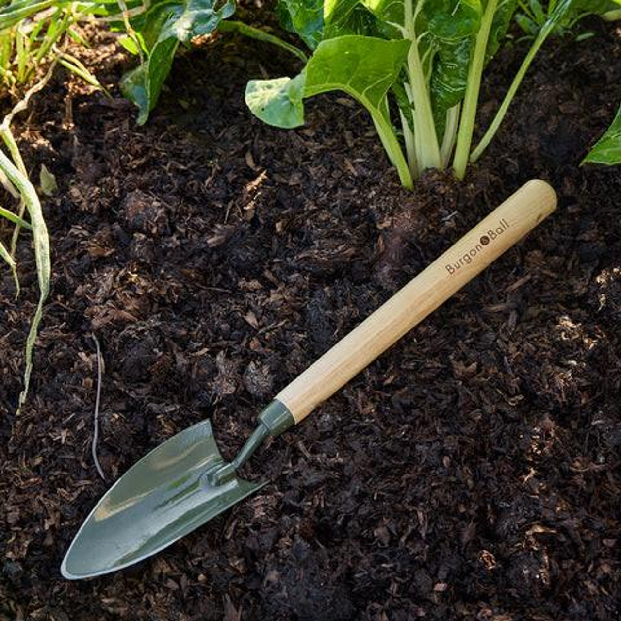 Burgon and Ball Mid Handled Trowel - Boron Green  Burgon and Ball Mid Handled Trowel - Boron Green