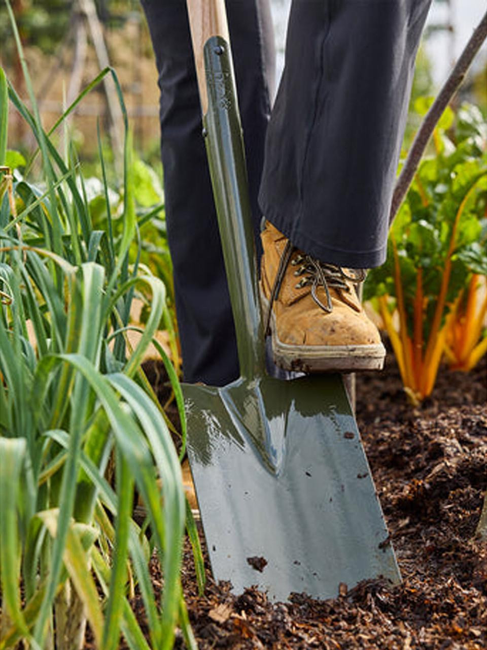 Burgon and Ball Digging Spade - Boron Green  Burgon and Ball Digging Spade - Boron Green