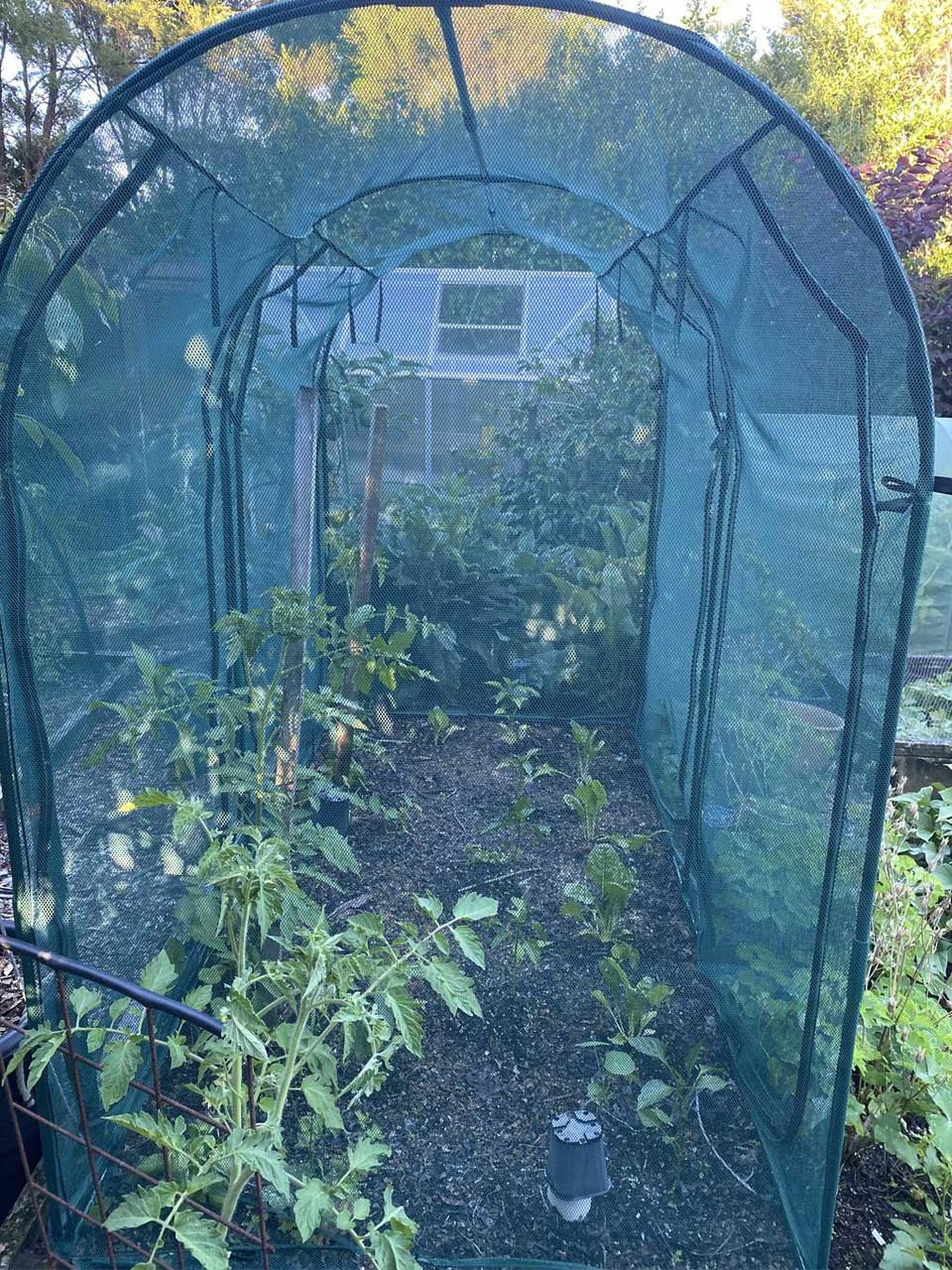 bugg Net Tunnel 2.5m x 1.25m x 1.85m - Dual Sided Openings bugg Net Tunnel 2.5m x 1.25m x 1.85m - Dual Sided Openings