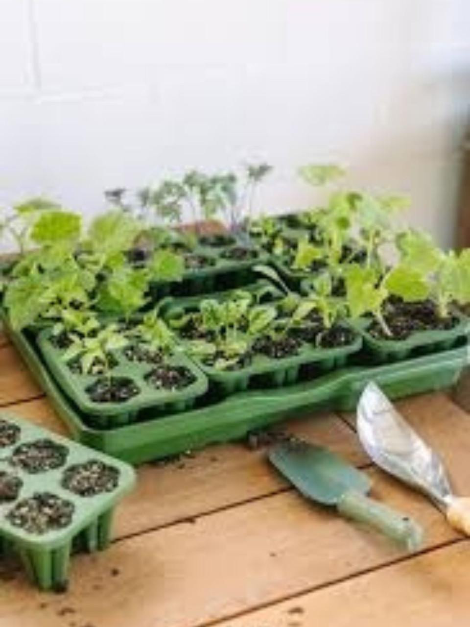 GreenStalk Seed Starter Kit with Domes - Evergreen 