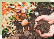 Home Composting: How easy is it?