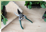 5 Essential Items For Your Garden Kit