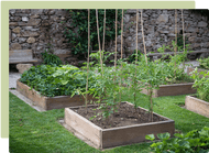 What is crop rotation and why should we do it? What is crop rotation and why should we do it?