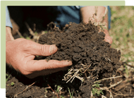 Harnessing the Magic of Effective Microbes in Your Garden