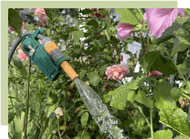 February Garden Guide February Garden Guide