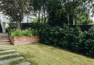 10 best hedges & screening plants for privacy and beauty 10 best hedges & screening plants for privacy and beauty