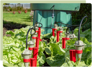The benefits of irrigation for your home garden The benefits of irrigation for your home garden