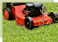 Caring for your lawn Caring for your lawn