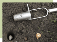 March Garden Guide March Garden Guide