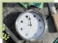 The Moon: our most powerful ally in the garden