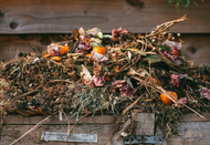 How to improve & prepare your soil for planting How to improve & prepare your soil for planting