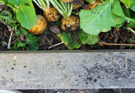 A simple guide to soil mixes & amendments A simple guide to soil mixes & amendments