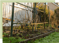 ​Improve your soil & prepare the vegetable garden for spring