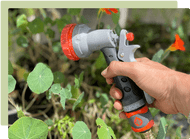 Being waterwise in your garden  Being waterwise in your garden
