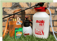 A guide to winter clean up sprays in the garden A guide to winter clean up sprays in the garden