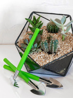 Burgon and Ball Houseplant and Terrarium Tool Set  Burgon and Ball Houseplant and Terrarium Tool Set