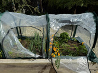 Gubba Poly Tunnel 2m x 1m - Dual Side Opening 