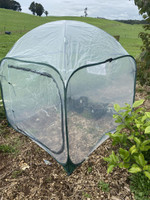 Gubba Poly Garden Cover 1m x 1m x  1.25m  Gubba Poly Garden Cover 1m x 1m x  1.25m
