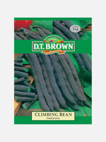 DT Brown Seeds Purple King Climbing Bean - Vegetable Seeds
