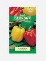 DT Brown Seeds Sweet Delight Capsicum - Vegetable Seeds DT Brown Seeds Sweet Delight Capsicum - Vegetable Seeds