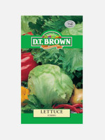 DT Brown Seeds Iceberg Lettuce - Vegetable Seeds