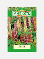 DT Brown Seeds Russel Mix Lupin - Flower Seeds