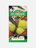 DT Brown Seeds Swan Plant - Flower Seeds