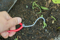 Wonder Weeder Wonder Weeder