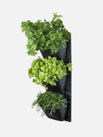 Maze Vertical Garden - 3 Tier Maze Vertical Garden - 3 Tier