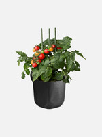 BioGrow EcoFelt Grow Bag