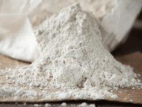 BioGrow DeBug Diatomaceous Earth Insecticide - 2kg Resealable Bag  BioGrow DeBug Diatomaceous Earth Insecticide - 2kg Resealable Bag