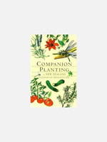 Companion Planting in New Zealand - Brenda Little