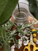 Niwaki Sakagen Flower Scissors 