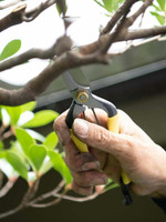 Niwaki GR Pro Lightweight Secateurs Niwaki GR Pro Lightweight Secateurs