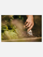 Niwaki Hori Hori and Canvas Holster