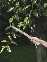 Niwaki Moku Folding Saw Niwaki Moku Folding Saw