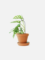 Botanopia Mini Plant Stake - Pompom Botanopia Mini Plant Stake - Pompom