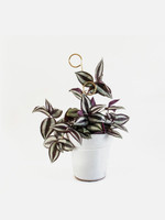 Botanopia Mini Plant Stake - Perch Botanopia Mini Plant Stake - Perch