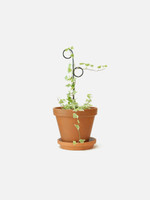 Botanopia Mini Plant Stake - Perch Botanopia Mini Plant Stake - Perch