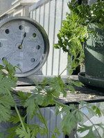 Cruising Electronics Gardening by the Moon Clock - White  Cruising Electronics Gardening by the Moon Clock - White