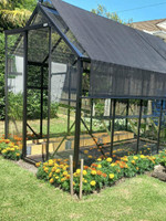 Winter Gardenz 2.6 x 3.2m Toughened Glasshouse   Winter Gardenz 2.6 x 3.2m Toughened Glasshouse