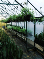 Winter Gardenz 3.2 x 3.8m  Polycarbonate Greenhouse  